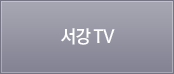 서강 TV